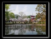 008 Kyoto Arashiyama Daikaku-ji pagode Shingyo